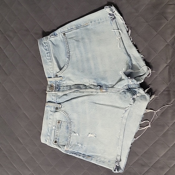 Denim Forum Pants - Denim Forum short